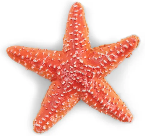 Papo - Figura realista de estrella de mar para niños - A partir de 3 años - Colección de vida marina - Juego educativo Descubrimiento del océano -