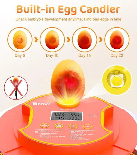 Miniatura 5 de Incubadora de 18 huevos con giro automático de huevos, control digital de humedad de temperatura, incubadora para incubar huevos, vela de vista