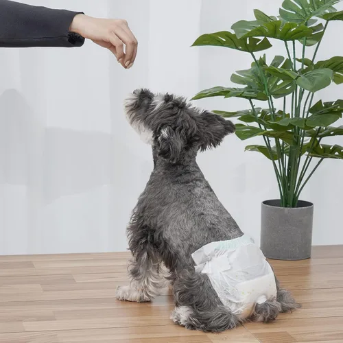 Miniatura 7 de Pañales para perros hembra, 30 pañales desechables para perros de diferentes tamaños, absorbentes con indicador de humedad (XS)