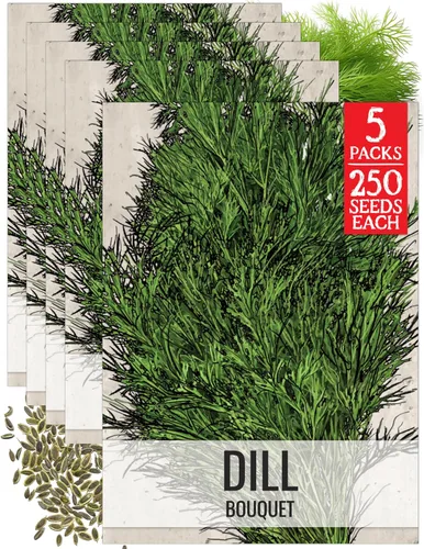Seed Needs Semillas de eneldo para plantar ramos de hierbas, semillas de hierbas sin OMG y sin tratar para plantar un jardín cultivado en casa para