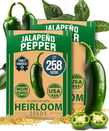 Miniatura 83 de HOME GROWN Mezcla de semillas germinantes de primera calidad, microgreens 118,200 semillas para cultivo en interiores, brócoli, alfalfa, rábano