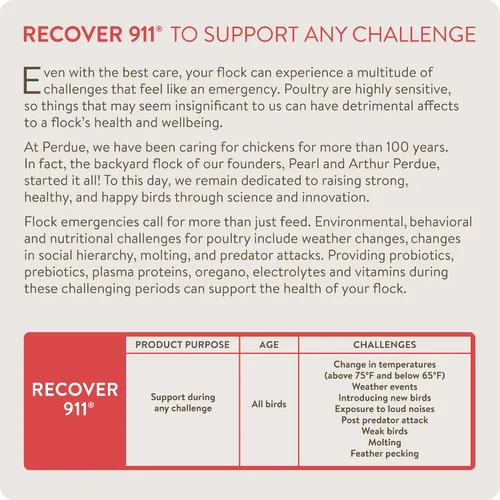 Miniatura 2 de FlockLeader Recover 911, Suplemento de Agua Probiótico para Estrés Severo para Pollos con Electrolitos, Prebióticos y Orégano, para la Muda, Clima
