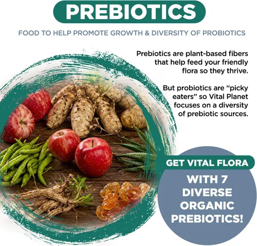 Miniatura 5 de Vital Planet - Vital Flora Ultra Daily Probiotic 60 mil millones de UFC, 60 cepas diversas, 7 prebióticos orgánicos, apoyo inmunológico, probióticos