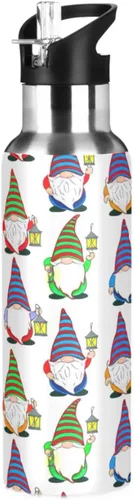 Insulated Stainless Steel Water Bottle with Straw 20 Oz, Leakproof Water Bottles for Gym Outdoor Travel School, Cute Gnomes