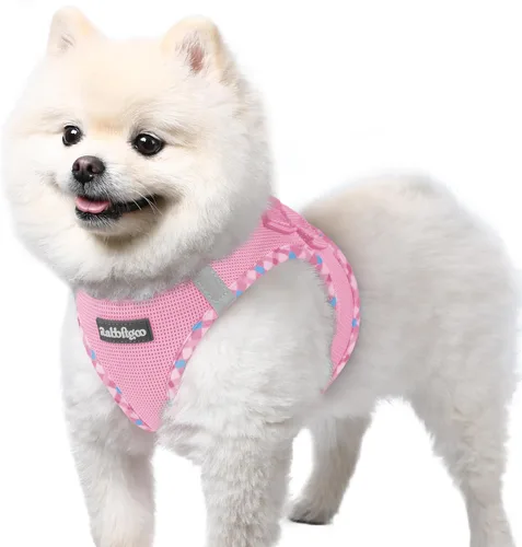 Miniatura 123 de rabbitgoo Arnés para perro pequeño, chaleco de malla suave para cachorros con hebilla de seguridad, arnés reflectante transpirable para mascotas