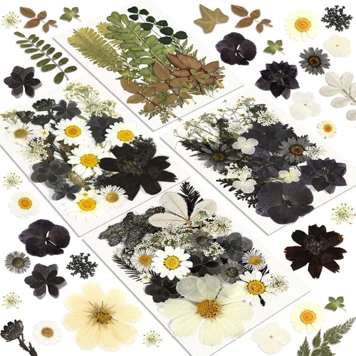 Miniatura 14 de Flores Secas, Resiners 58 Piezas Flores Prensadas para Manualidades Rosa Flores Secas Naturales Reales Kit de Hojas Secas para DIY Hacer