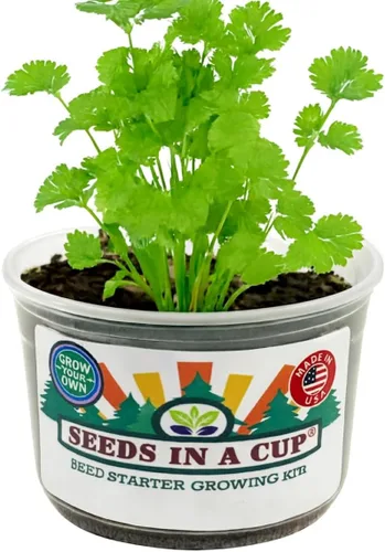 Miniatura 4 de Kit de cultivo de hierbas Iniciador de jardín de hierbas para interiores Semillas y tierra de primera calidad Paquete de 3 hierbas Múltiples