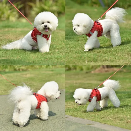 Miniatura 20 de Juego de arnés y correa para perros pequeños, arnés reflectante ajustable sin tirones, arnés transpirable suave para cachorros y perros pequeños