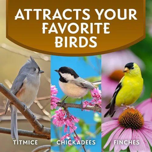 Miniatura 5 de Morning Song Sunflower Hearts & Chips - Alimento para pájaros silvestres, sin ensuciar, semillas de girasol para pájaros, bolsa de 5.5 libras