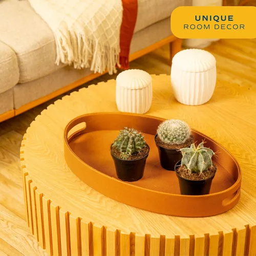 Miniatura 2 de Costa Farms Plantas vivas de cactus en poste de plástico, plantas suculentas fáciles de mantener, decoración del hogar, habitación u oficina, gran
