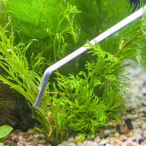 Miniatura 7 de FEITA Juego de pinzas para acuario – Pinzas de alimentación largas curvadas y rectas de acero inoxidable Kit de herramientas de mantenimiento