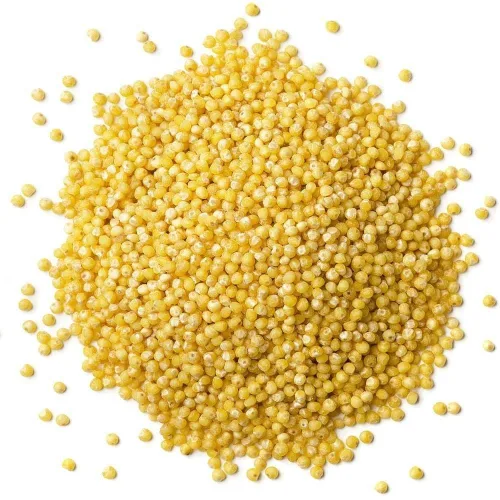 Miniatura 3 de Food to Live Mijo orgánico descascarillado, 10 libras – Semillas de grano entero, sin OMG, Kosher, crudo, a granel, producto de los Estados Unidos