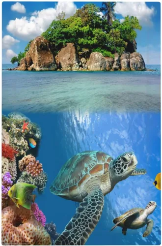 Miniatura 96 de Cubierta de interruptor de luz de 3 cuadrillas con diseño de flores azules púrpuras, cubierta de placa de pared de triple palanca, arbustos florales