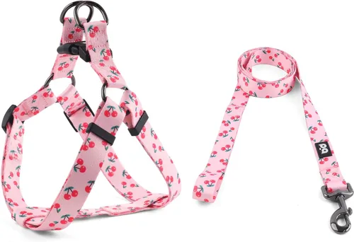Miniatura 15 de QQPETS Juego de correa de arnés para perro, ajustable, resistente, sin tirones, arnés halter para perros de razas pequeñas, medianas y grandes, clip