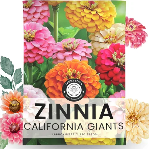 Zinnia California Giants - Sobre grande de 2,500 mg - 250 semillas de flores para plantar - Zinnia elegans