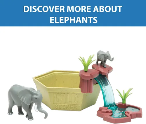 Miniatura 5 de Wild Scenes Elephants' Watering Hole - Kit de cultivo y juego respetuoso con el medio ambiente, juguete de conservación de vida silvestre, juego