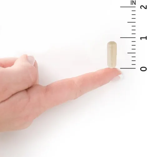 Miniatura 8 de Garden of Life Dr. Formulated, probióticos para tomar una vez al día prenatal – Apoyo de probióticos Acidophilus y Bifidobacteria para mamá y bebé