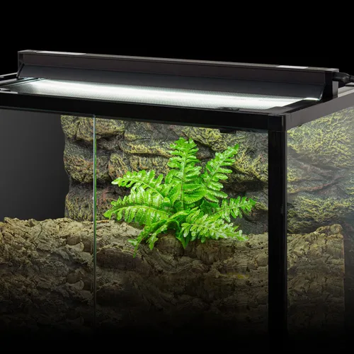 Miniatura 7 de REPTI ZOO Kit combinado de iluminación para reptiles T5 HO UVB de 8 W, campana de terrario de reptil de 12 pulgadas, con reflector curvado