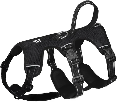 Miniatura 12 de FEimaX Arnés para perro sin tirones, chaleco acolchado suave para perro con 3 clips para la correa y asa de fácil control, reflectante ajustable sin