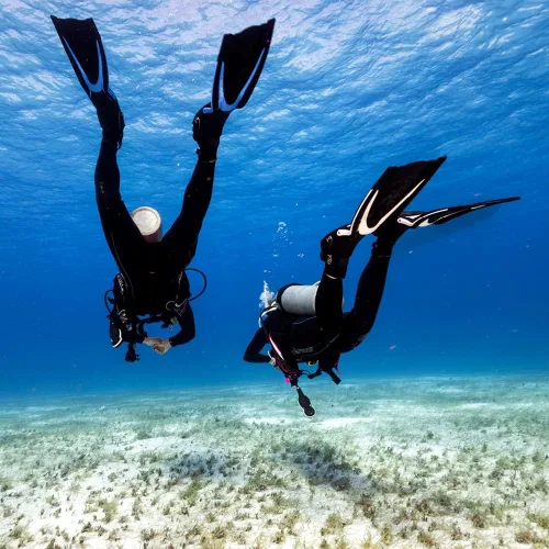 Miniatura 5 de TUSA SF-0104 Hyflex Switch Buceo Aletas