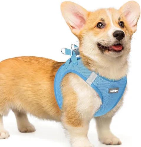Miniatura 32 de rabbitgoo Arnés para perro pequeño, chaleco de malla suave para cachorros con hebilla de seguridad, arnés reflectante transpirable para mascotas