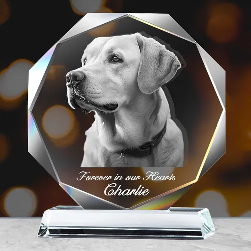 Miniatura 8 de Foto de cristal 3D personalizada, regalos personalizados para mujeres, mamá, marco de fotos de cristal, regalos de aniversario personalizados