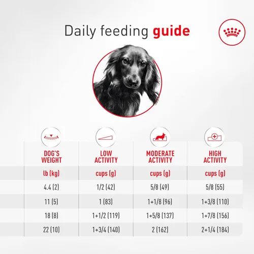 Miniatura 10 de Alimento seco para perros Royal Canin Breed Health Nutrition para Dachshund adulto, bolsa de 10 lb