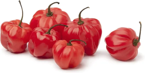 Miniatura 3 de Semillas de pimiento exótico para plantar - (pimienta de 5 colores)
