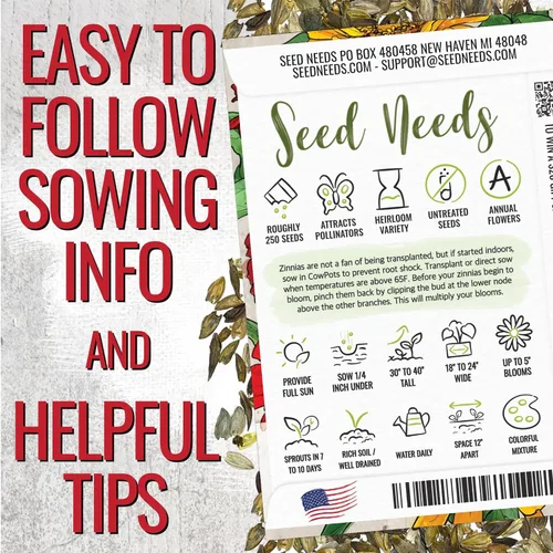 Miniatura 3 de Seed Needs California Giants - Semillas de zinnia – 250 semillas tradicionales para plantar Zinnia elegans – Cultiva flores anuales polinizadas