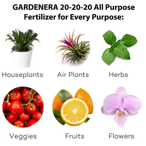 Miniatura 4 de 𝐁𝐄𝐒𝐓𝐒𝐄𝐋𝐋𝐄𝐑 Fertilizante Soluble en Agua 20-20-20 – Polvo para Alimento Líquido de Plantas para Plantas de Interior y Exterior, Orquídeas, Vegetales