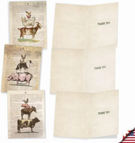 Miniatura 4 de The Best Card Company 10 tarjetas de felicitación de agradecimiento con sobres de 4 x 5.12 pulgadas – Tarjetas de notas «Farm Stand» – Di gracias