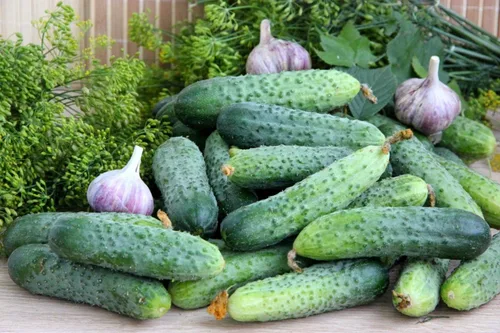Miniatura 2 de Semillas Decapado Pepino Zasol No GMO Heirloom