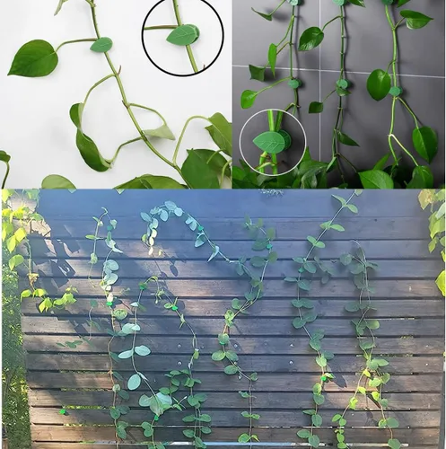 Miniatura 2 de 60 clips autoadhesivos de pared para trepar plantas, fijador de plantas invisibles en forma de hojas, clips de fijación de gancho para plantas