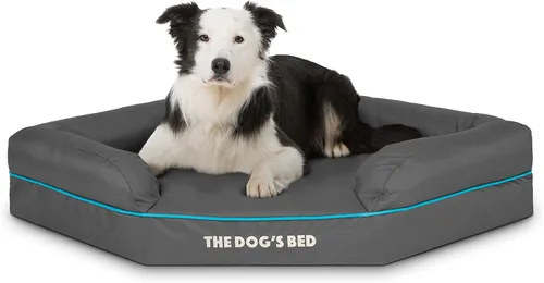 Miniatura 18 de The Dog's Bed - Cama ortopédica de espuma viscoelástica para perro, tela Oxford, gris con ribete negro, mediana