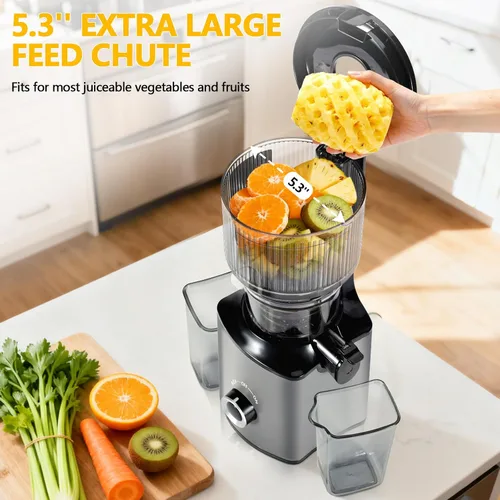 Miniatura 2 de Máquina fría del Juicer de la prensa 5,4" de ancho de la máquina del extractor del jugo de la tolva de la alimentación alto rendimiento del jugo