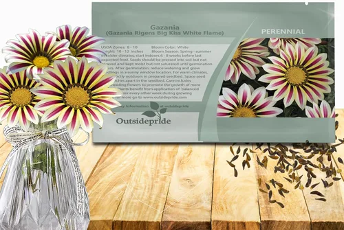 Outsidepride White Flame Gazania Semillas para plantar – 50 piezas de semillas perennes, de bajo mantenimiento, tolerantes a la sequía para flores