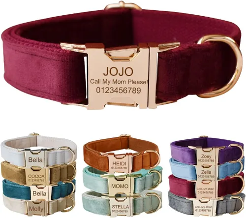 Collar para perro personalizado con hebilla metálica - Collares para mascotas personalizados con nombre y número de teléfono (Estilo Terciopelo1)