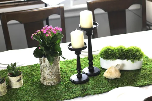 Miniatura 30 de Alfombra y tapetes de musgo preservado (12 pulgadas x 6 pies)