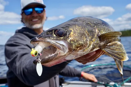 Miniatura 2 de Northland Fishing Tackle Deep-Vee Spin Jig, versátil Walleye Spinning Jig con hoja de sauce Thumper, señuelo multiespecie, cebo de pesca esencial