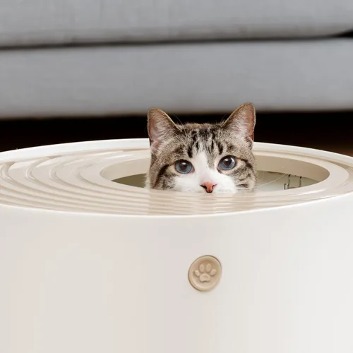 Miniatura 7 de IRIS USA - Caja de arena higiénica para gatos con entrada superior y pala de arena Blanco/Beige