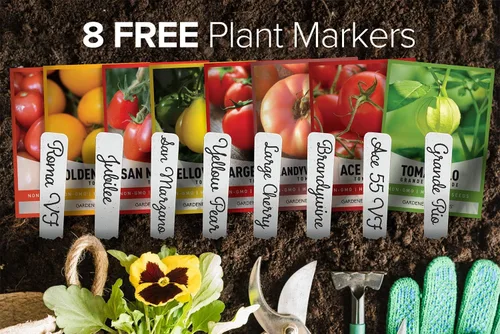 Miniatura 2 de Gardeners Basics, Tomates tradicionales para plantar 8 paquetes variados, San Marzano, Roma VF, cereza grande, Ace 55 VF, pera amarilla, tomatillo