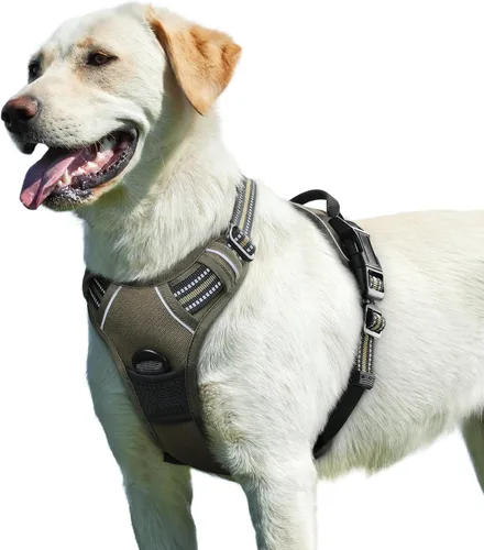 Miniatura 36 de Eagloo Arnés para perro pequeño, sin tirones, chaleco de servicio con tiras reflectantes y asa de control, ajustable y cómodo para caminar, arnés