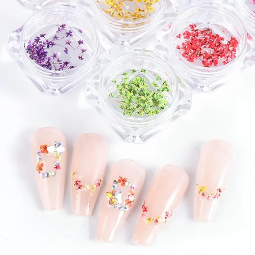 Miniatura 4 de 8 cajas de flores secas para uñas, mini flores de uñas reales 3D, flores secas, calcomanías de uñas, decoración de uñas, decoración de uñas, Flores