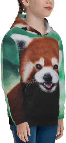 Miniatura 5 de Sudaderas con capucha y estampado 3D para niños y niñas
