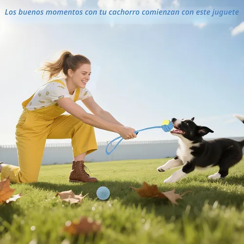 Miniatura 5 de Beiker Paquete de 15 juguetes de Navidad para perros, juguetes masticables para cachorros para dentición de cachorros pequeños y medianos, caja