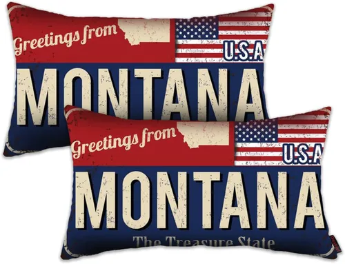 Miniatura 53 de Juego de 2 fundas de almohada de Florida de 12 x 20 pulgadas, decoración de recuerdo de Florida, funda de almohada lumbar con diseño de bandera