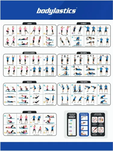 Miniatura 14 de Bodylastics Juego de bandas de resistencia – Bandas de resistencia con asas, correas de tobillo, anclaje de puerta, bolsa de transporte – Bandas PRO