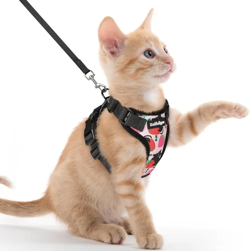 rabbitgoo Cat Harness and Leash Set, Escape Proof Vest, XXS, Berry Pounce | Soft Breathable Mesh, No-choke Adjustable Fit, Snap Buckles, Sturdy