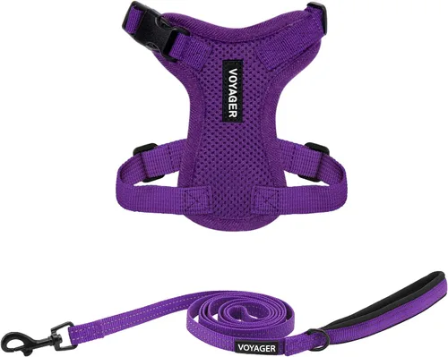 Miniatura 44 de Best Pet Supplies Voyager Step-in Lock - Arnés para mascotas con correa reflectante para mascotas, con mango de neopreno de 5 pies, soporta