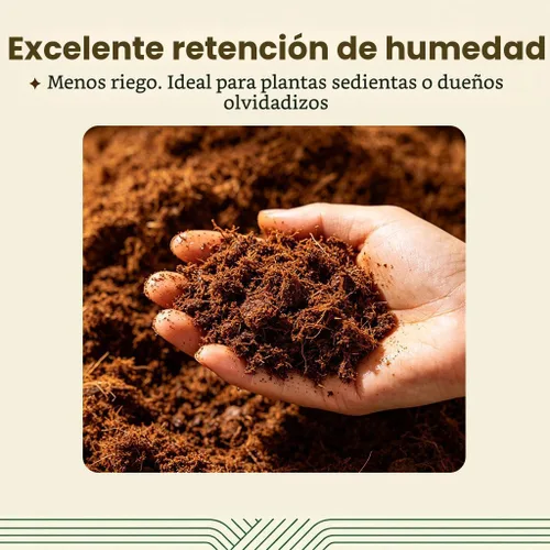Miniatura 4 de Halatool Paquete de 10 ladrillos de coco de coco, suelo de coco orgánico para plantas, nivelación, iniciador de semillas, mezcla para macetas